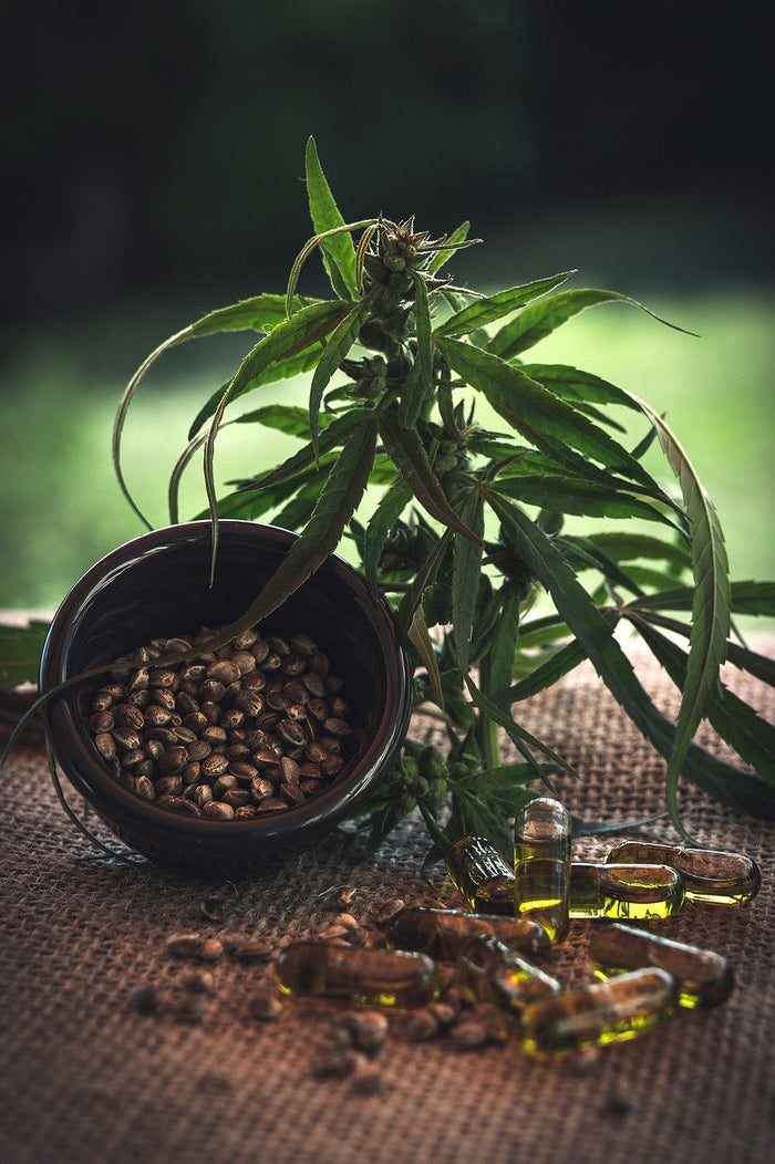 CBG CBD Unterschied