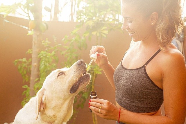 CBD fuer Tiere