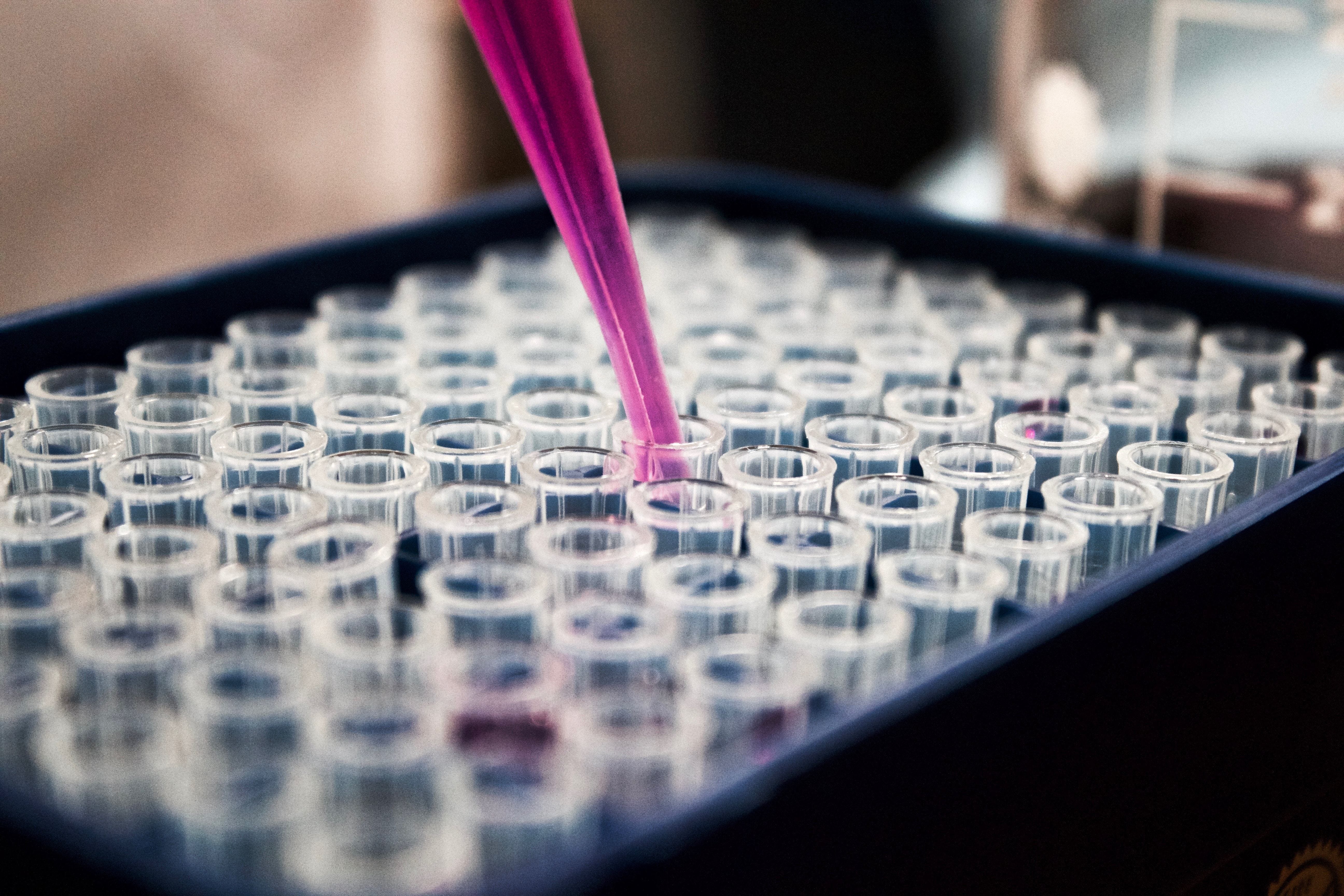 CBD und Drogentest? 5 wichtige Fakten!