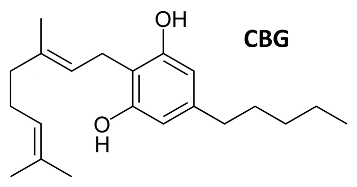 CBG Cannabigerol
