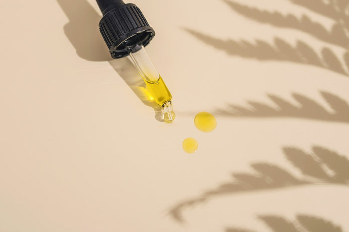 CBD Öl Haltbarkeit