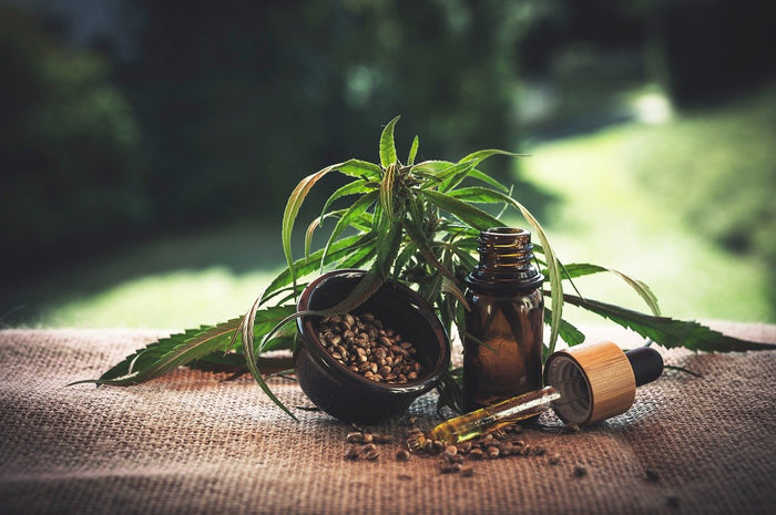 CBD Öl Kaufen Gesundheit