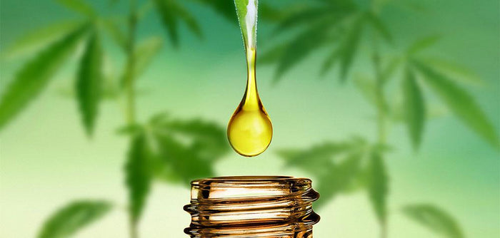 5 wichtige Tipps für den Kauf von CBD Öl