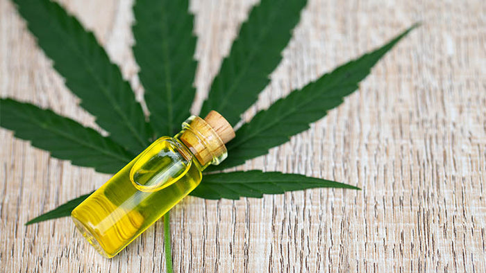 5 Fakten über CBD