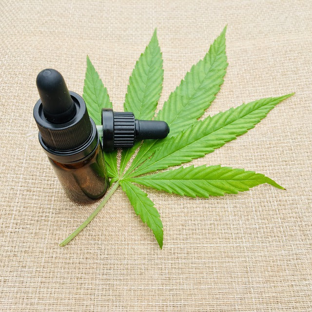 bio cbd öl