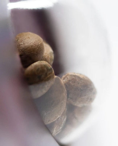 Samen Jack Herer