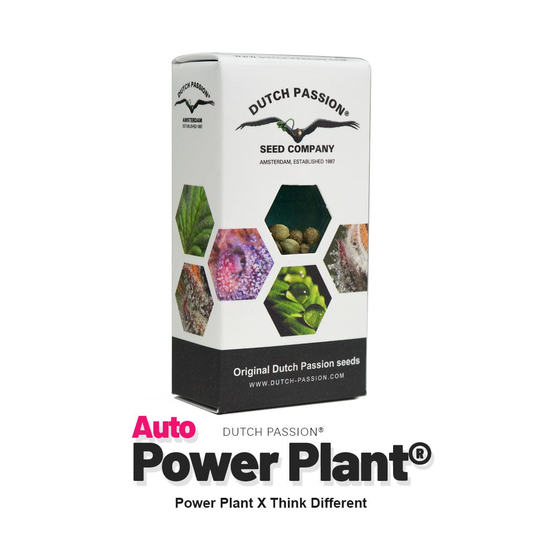 power plant samen Power Plant Auto Samen Dutch Passion