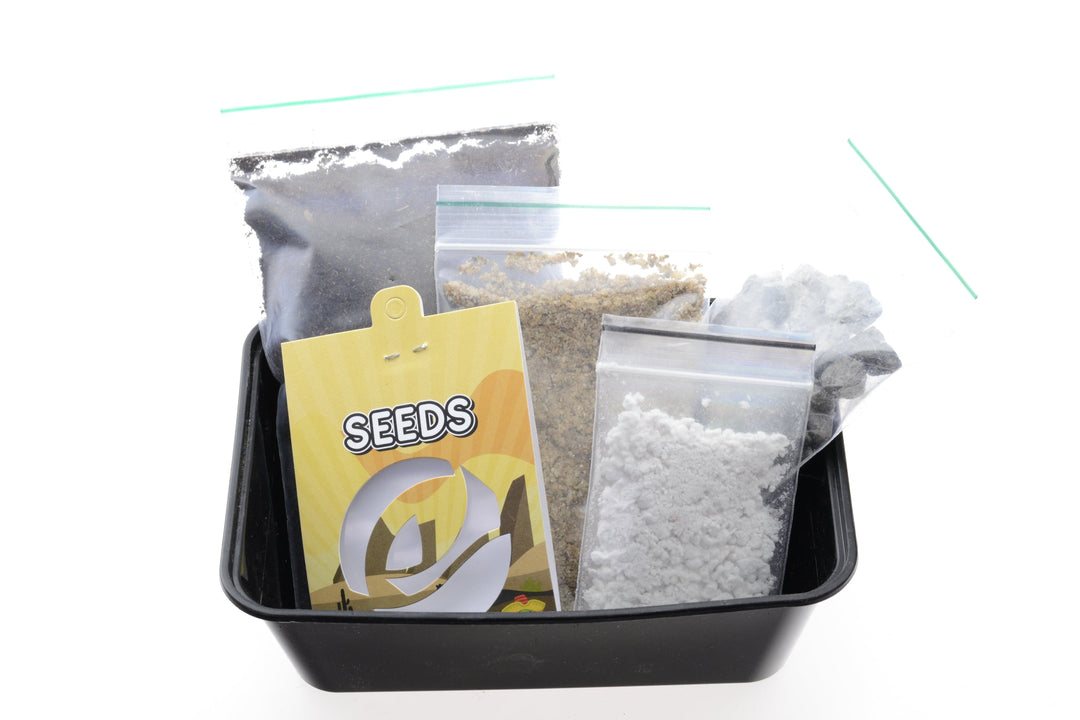 Peyote Cacti Grow Kit