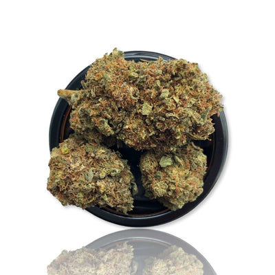 CBDNOL H4CBD Gelato Blüten im Glas