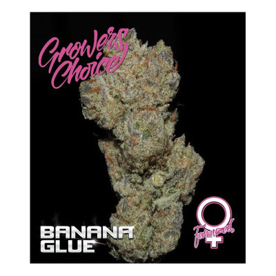 Banana Glue