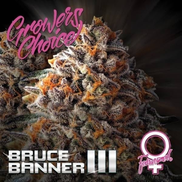 Bruce Banner