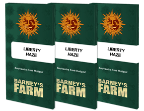 Barneys Farm Samen