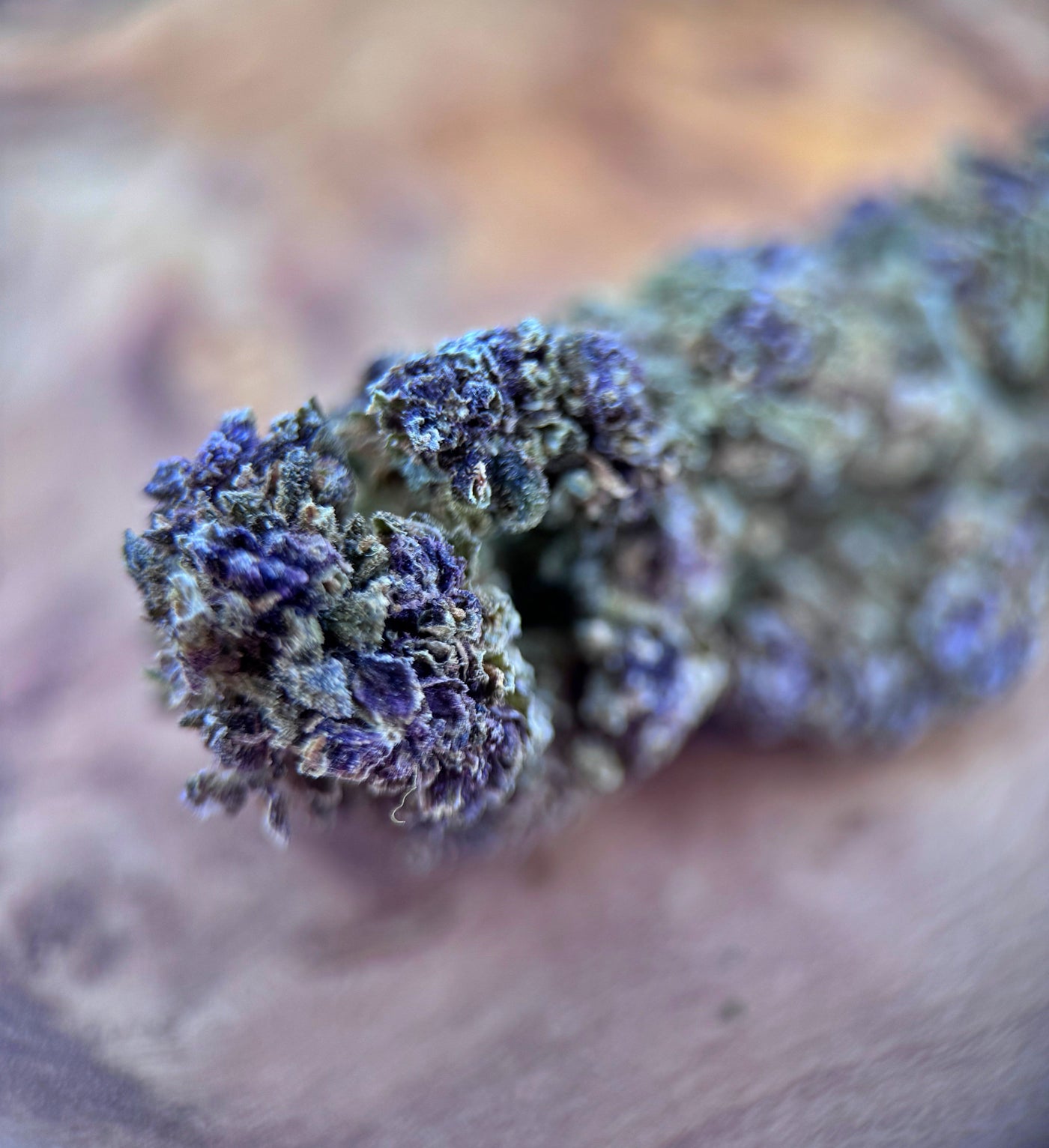 Purple Kush Macro
