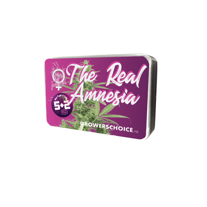 Amnesia Growers Choice
