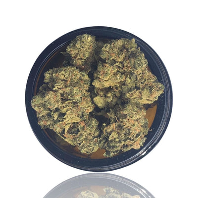 CBD Blüte Super Lemon Haze im Glas 